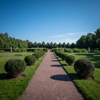 Home Explore the scenic pathways of a lush Swedish park in Skåne, Sweden